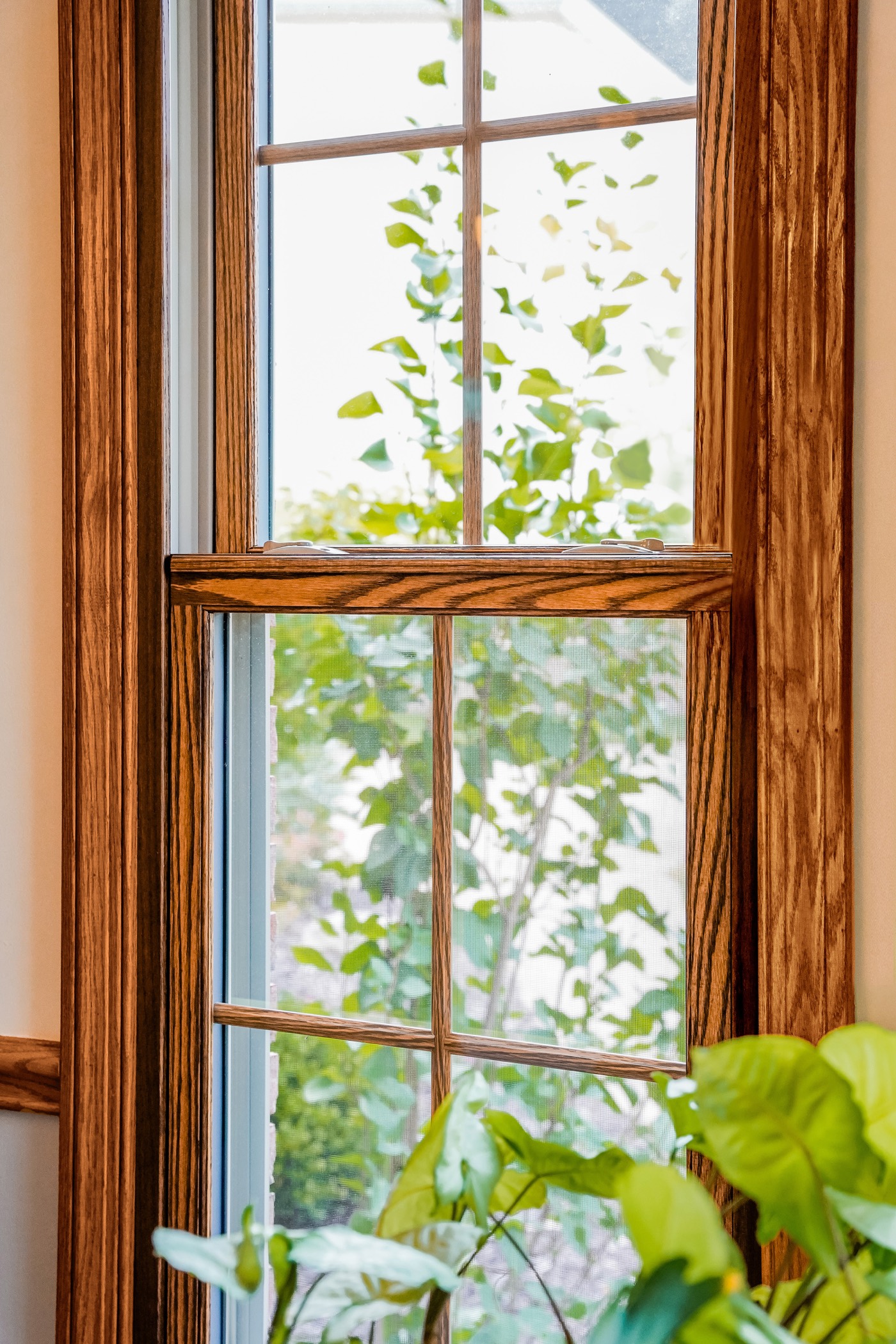 Aeris Double Hung Caramel Internal Grids replacement window style option