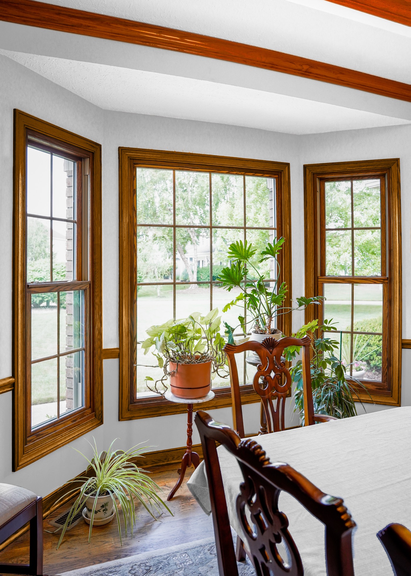 Aeris Doublg Hung And Picture Windows Caramel Internal Grids replacement window style option